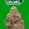 Apple Gelato