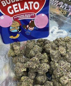 Bubblegum Gelato