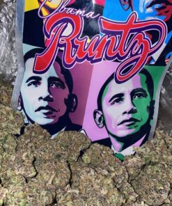 Obama Runtz