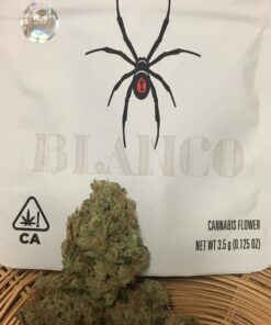 Blanco strain