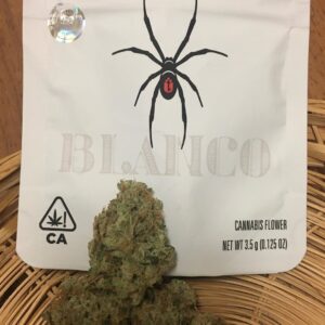 Blanco strain