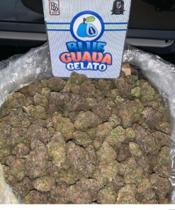 Blue Guava gelato