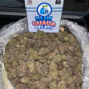 Blue Guava gelato