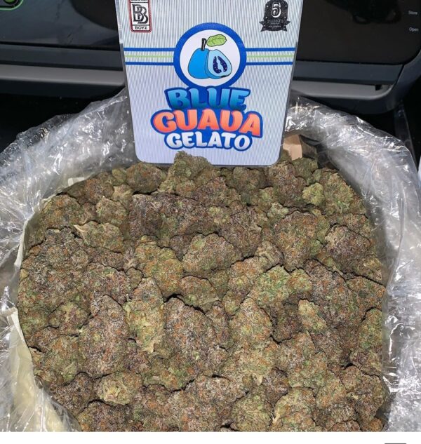 Blue Guava gelato