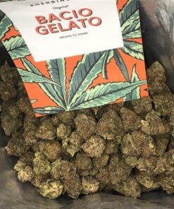 Bacio Gelato Strain