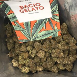 Bacio Gelato Strain