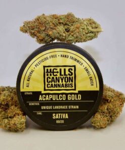 Acapulco-Gold-strain