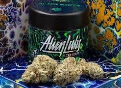 Alien mints strain