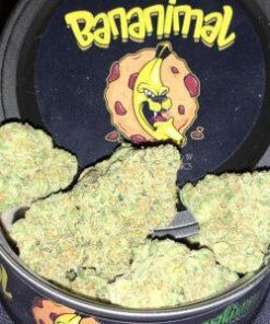 Bananimal Strain