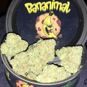 Bananimal Strain