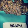 Big Apple strain