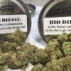Bio Diesel Strain