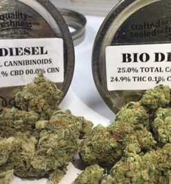 Bio Diesel Strain