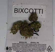 Bixcotti Strain