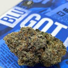 Blue Gotti strain