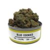 Blue Cookies strain