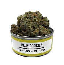 Blue Cookies strain