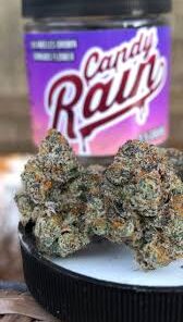 Candy Rain Strain