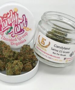 Candyland Strain
