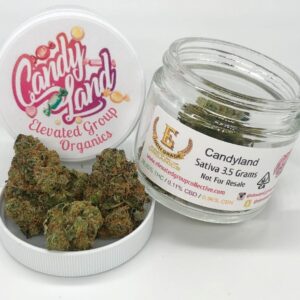 Candyland Strain