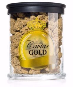 Caviar Gold Strain