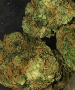 Critical Jack Strain