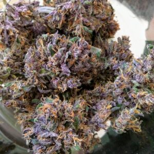 Dark Devil Strain