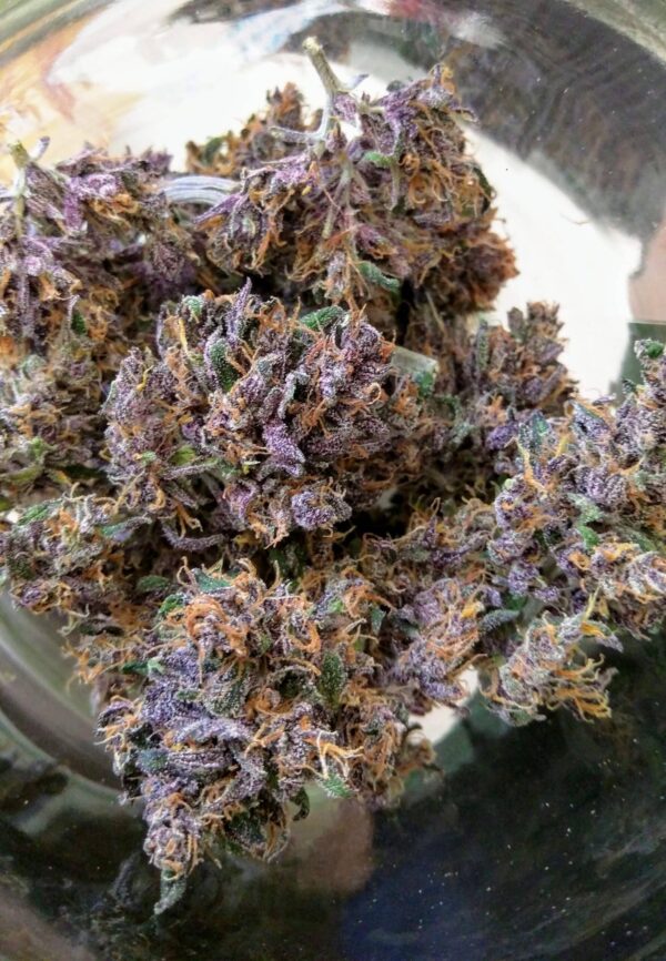 Dark Devil Strain