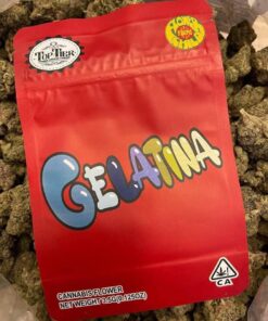 Gelatina Strain