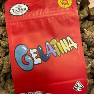 Gelatina Strain