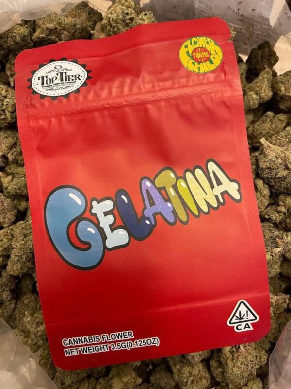 Gelatina Strain