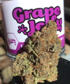 Grape jelly strain