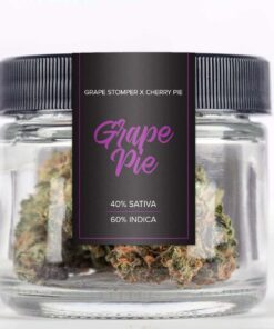 Grape pie strain