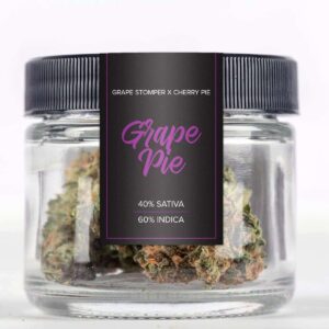 Grape pie strain