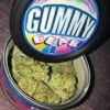 Gummy Bear Strain