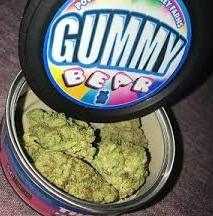 Gummy Bear Strain