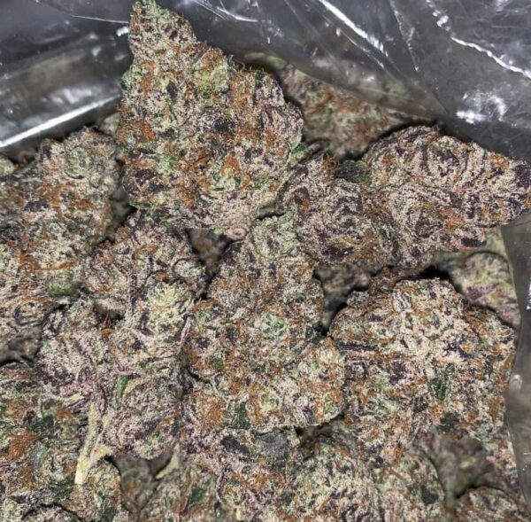 Head Cheese Strain