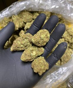 High Octane OG Strain