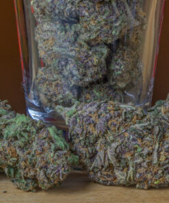 h2>Jager Strain: A Unique and Potent Indica Introduction Jager Strain is a hybrid cannabis strain that leans heavily towards the indica side. It is a cross between Black Domina and a unique California Orange variant. Jager Strain is known for its potency and unique flavor profile, making it a favorite among seasoned cannabis users. Aroma and Flavor Profile Jager Strain has a unique aroma that combines sweet and earthy notes with a hint of pine. The flavor profile is also quite distinct, with a sweet and fruity taste that is followed by an earthy and woody finish. The combination of flavors makes Jager Strain an enjoyable smoke that is easy on the palate. Effects and Medicinal Benefits Jager Strain is known for its potent effects that can leave users feeling deeply relaxed and sedated. It is an excellent strain for those looking to unwind after a long day or for those struggling with insomnia. Jager Strain can also be effective for managing chronic pain and easing muscle tension. Growing Information Jager Strain is a relatively easy strain to grow and can thrive both indoors and outdoors. It has a flowering time of around 8-9 weeks and can produce a high yield when grown correctly. It is important to note that Jager Strain can be quite pungent during the growing process, so it may be necessary to use odor control measures. Final Thoughts Overall, Jager Strain is an excellent choice for those looking for a unique and potent indica strain. Its combination of distinct flavors and potent effects make it a favorite among seasoned cannabis users. If you're looking for a strain that can help you unwind and relax, Jager Strain is definitely worth checking out. Jager-strain