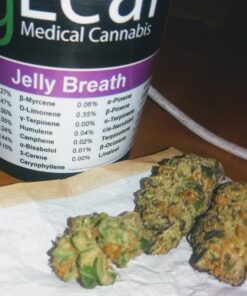 Jelly Breath Strain