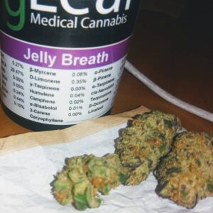 Jelly Breath Strain