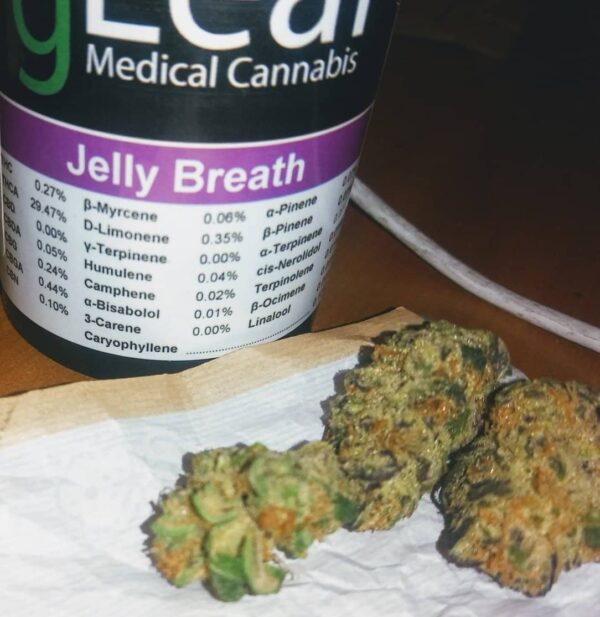 Jelly Breath Strain