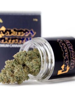 Kushberry Cheeseke Strain