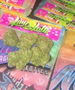 Lime latti Strain