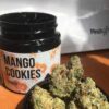 Mango cookies strain