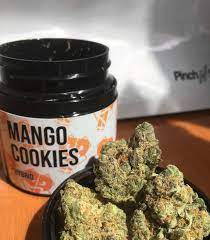 Mango cookies strain