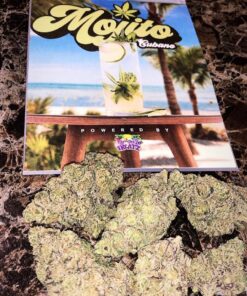 Mojito Cobano Strain