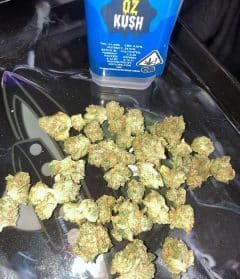 Oz Kush strain