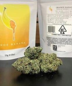 Orange Banana Strain
