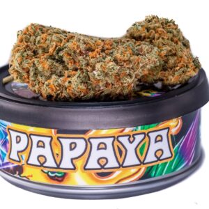 Papaya strain